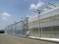 太陽光併用型植物工場
